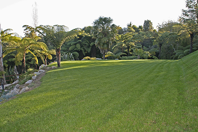 Beautifully manicured lawns – unfortunately it doesn’t happen by magic!